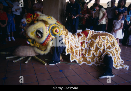 La Malaisie Kedah Langkawi le Nouvel An chinois avec des performances de danse du lion en regardant les touristes de l'examen de l'offre alimentaire de Dragon. Banque D'Images