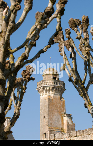 Chateau Tour, Le Grand-Pressigny, sud-Touraine, France. Banque D'Images