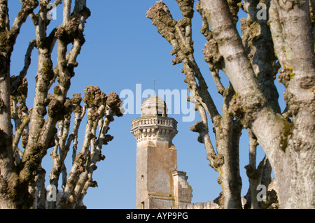 Chateau Tour, Le Grand-Pressigny, sud-Touraine, France. Banque D'Images