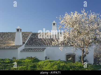 Portugal Algarve, maison de vacances avec l'amandier en fleur et cheminées typique de l'Algarve Banque D'Images