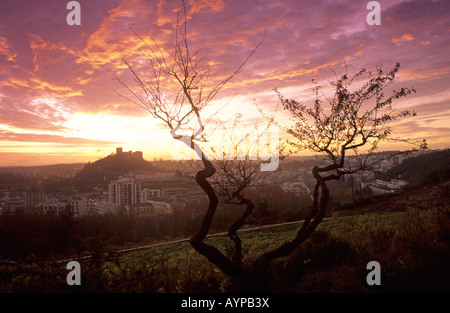 Vue de Château Leiria Portugal Banque D'Images