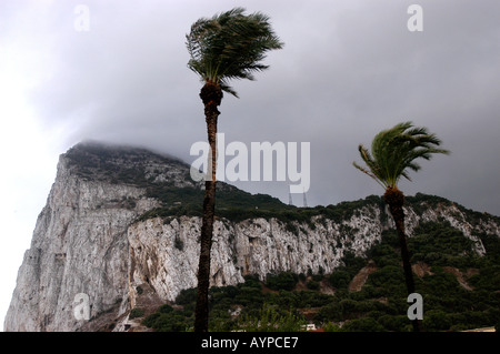 Vue spectaculaire sur la roche de Gibraltar enveloppée de lourds nuages pluvieux avec des palmiers se balançant dans le vent. Banque D'Images