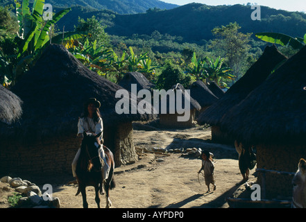 Colombie Sierra Nevada de Santa Marta Avingue Banque D'Images