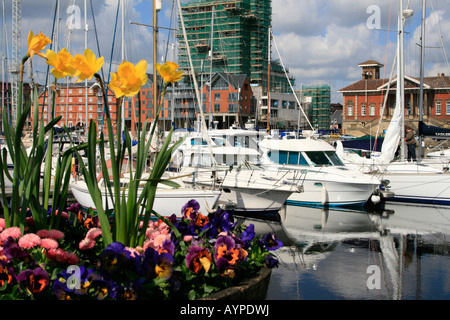 Fleurs de Printemps Ipswich Haven Marina est le 250-installation d'amarrage situé dans le bassin à flot dans le port d'Ipswich. Banque D'Images