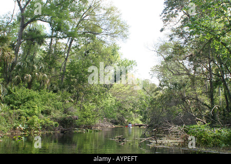 Personnes canoë à Wekiwa Springs State Park, Floride Apopka Banque D'Images