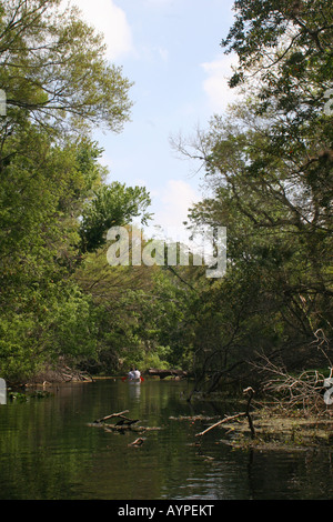 Personnes canoë à Wekiwa Springs State Park, Floride Apopka Banque D'Images