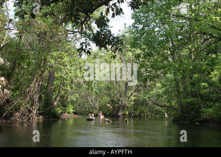 Personnes canoë à Wekiwa Springs State Park, Floride Apopka Banque D'Images