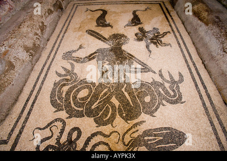 Sol de mosaïque du dieu Neptune et les créatures de la mer dans le women's baths, Herculanum, Italie Banque D'Images