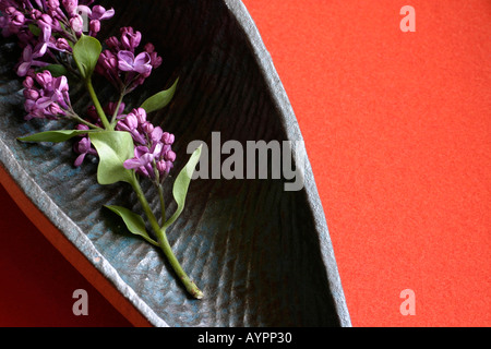 Un bouquet de lilas placé sur un plateau en bois Banque D'Images