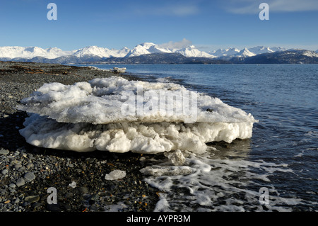 Banc de glace sur la rive de la baie Kachemak, péninsule de Kenai, Alaska, USA Banque D'Images
