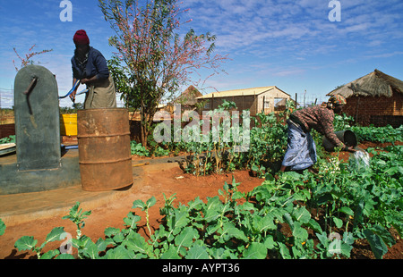 Deux femmes tirant de l'eau de la nouvelle pompe améliorée et arroser les légumes dans le jardin de la cuisine communautaire. Zimbabwe Banque D'Images