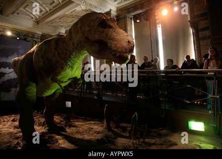Les personnes à la recherche de modèle au T-Rex de la Natural History Museum, Londres Banque D'Images