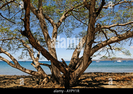 Plage de Playa Hermosa, Péninsule de Nicoya, Costa Rica, Amérique Centrale Banque D'Images