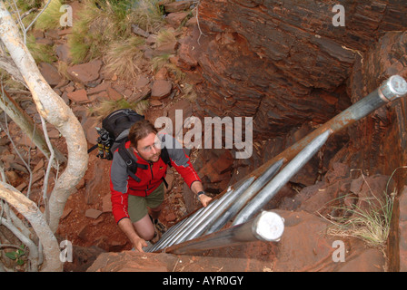 Sac à dos homme avec une échelle d'escalade, Hamersley Range, le parc national de Karijini, Région du Pilbara, Australie occidentale, Australie Banque D'Images