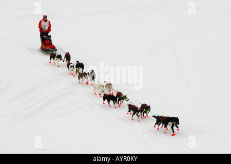 L'équipe de chien de traîneau, Finnmark, dans le nord de la Norvège, Scandinavie Banque D'Images
