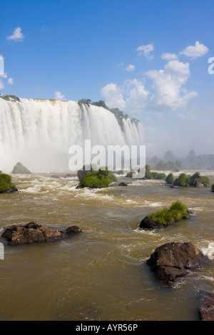 Partie de la chutes d'Iguaçu du côté brésilien Banque D'Images