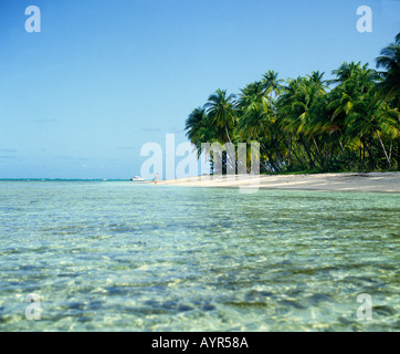 Plage des Caraïbes à Tobago Antilles Banque D'Images