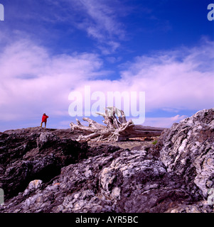 Un randonneur debout sur un rivage rocheux sur la côte ouest du Pacifique de l'île de Vancouver, British Columbia Canada Banque D'Images