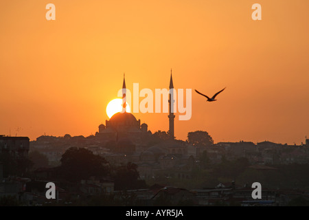 Mosquée de Fatih vu au coucher du soleil avec mouette. Istanbul, Turquie Banque D'Images