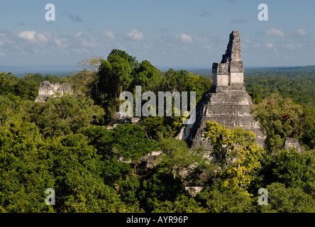 Les ruines mayas de Tikal - vue de Temple à Temple III I, temple de Jaguar géant, Yucatan, au Guatemala, en Amérique centrale Banque D'Images