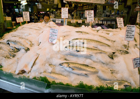 Roi du Pacifique ou le saumon quinnat (Oncorhynchus tshawytscha) pêché à l'état sauvage dans l'Alaska, le Pike Place Market, Seattle, WA USA Banque D'Images