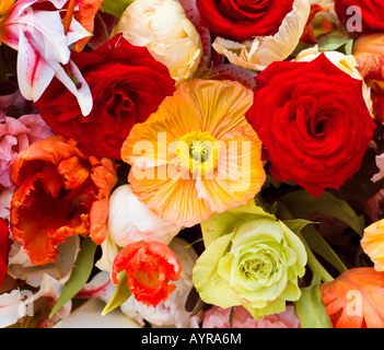 Bouquet de fleurs colorées Banque D'Images