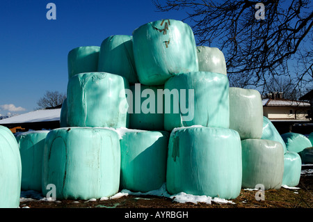 Balles ensilage, fourrage d'hiver pour les vaches, Aller, Tirol, Autriche, Europe Banque D'Images