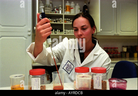 Technicien travaillant en laboratoire du fabricant de crème glacée, Maidstone, Kent, UK. Banque D'Images