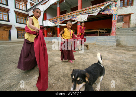 Les moines novices jouant avec un chien dans le monastère de Leh, Ladakh, Inde Banque D'Images