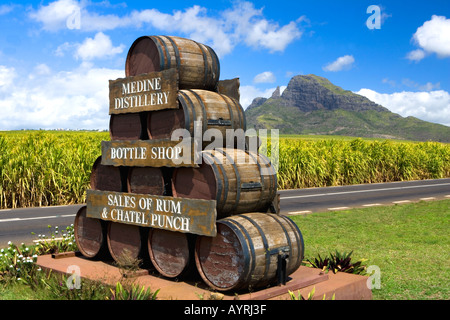 Canon annonce l'affichage à l'entrée de l'usine de sucre de Medine avec plantation de canne à sucre et les montagnes derrière Banque D'Images