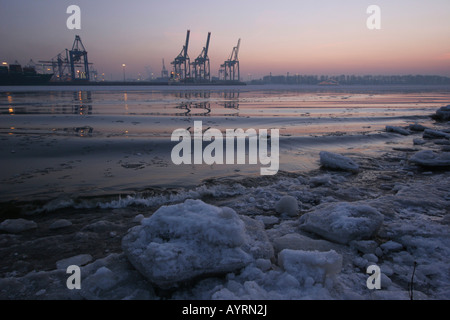 Les banquises, Elbe en hiver, le port de Hambourg, Hambourg, Allemagne, Europe Banque D'Images