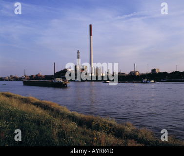 D-Ludwigshafen am Rhein, Rhin, Rhénanie-Palatinat, promenade du Rhin, BASF Plant, usine, industrie chimique, Rhin paysage, rivière paysage, paysage industriel, l'humeur du soir, d'un cargo, d'un cargo sur le Rhin, cargo, fret, colis Banque D'Images