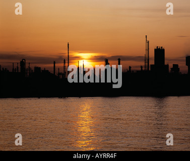 D-Ludwigshafen am Rhein, Rhin, Rhénanie-Palatinat, promenade du Rhin, BASF Plant, de l'industrie, usine, industrie chimique, Rhin paysage, rivière paysage, paysage industriel, l'humeur du soir, coucher de soleil, nature, sunglow, redglow, rétroéclairage, silhouett Banque D'Images