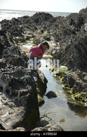 Jeune fille de 6 ans à la pêche dans la mer des rochers. Devon Woolacombe. Banque D'Images