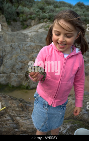 Jeune fille de 6 ans holding crab au bord de la mer. Devon Woolacombe. Banque D'Images