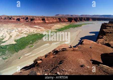 Glen Canyon National Recreation Area vu de Hite Lookout Point, du Plateau du Colorado, Utah, USA Banque D'Images