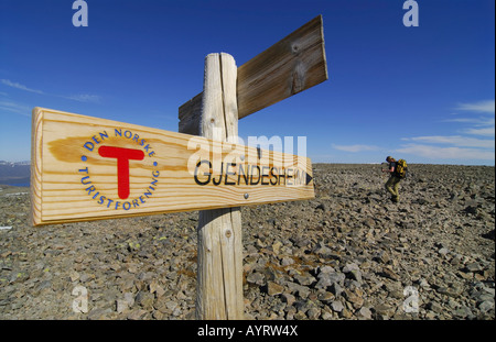 Balisage le long d'un sentier de randonnée passe à Gjendesheim randonneur et cabine (arrière), Jotunheinem Parc National, Norvège, Scandinavie Banque D'Images