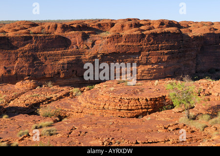 Les formations de grès, Kings Canyon Rim à pied, Watarrka National Park, Territoire du Nord, Australie Banque D'Images