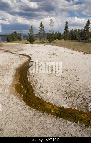 L'eau qui coule d'une source chaude, West Thumb Geyser Basin, Parc National de Yellowstone, Wyoming, USA Banque D'Images