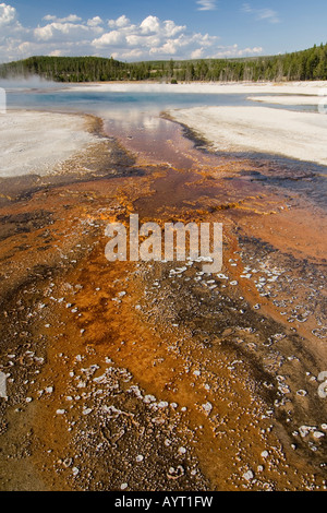 L'eau qui coule d'une source chaude, bassin de sable noir, Parc National de Yellowstone, Wyoming, USA Banque D'Images