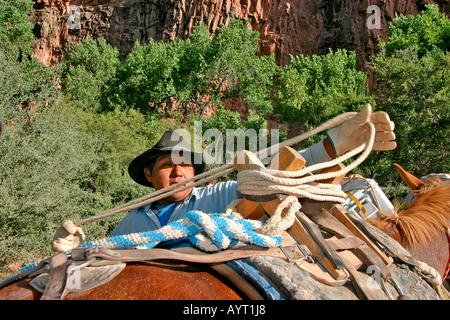 Native American Havasupai packer cheval Cheval de charges jusqu'au Canyon Havasupai Banque D'Images