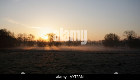 Redgrave et Lopham Fen dawn. Banque D'Images