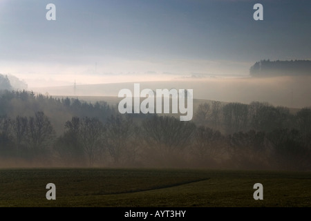 Début de matinée brouillard près de Biberach an der Riss, souabe, Bade-Wurtemberg, Allemagne Banque D'Images