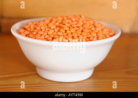 Lentilles rouges (Lens esculenta) dans un bol Banque D'Images