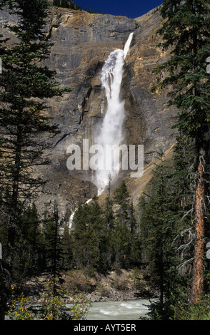 Les chutes Takakkaw Parc national Yoho Colombie-Britannique Les Rocheuses Canada Banque D'Images