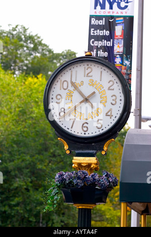 Réveil se tient sur le trottoir en face de The Sherry Netherland Hotel sur la Fifth Avenue et Central Park West à Midtown Manhattan Nouvelle Banque D'Images