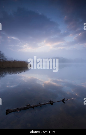 L'aube s'allume le dessous des nuages sur un matin de printemps (2008) à Frensham Little Pond, Farnham, Surrey. Banque D'Images