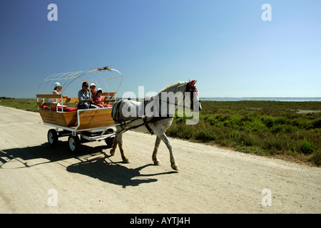 Cheval et randonnée en Camargue de France Banque D'Images