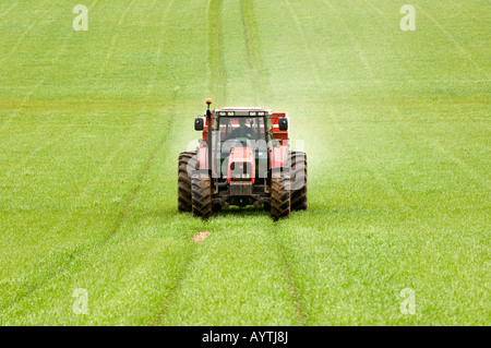 Agriculteur demandeur d'engrais pour l'orge d'hiver au printemps en utilisant le tracteur de pneus larges pour réduire compactation Penrith Cumbria Banque D'Images