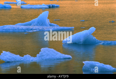 Icebergs dans Laguna Torre au coucher du soleil, parc national Los Glaciares, Patagonie, Argentine Banque D'Images